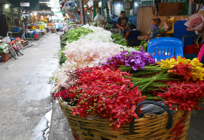 バンコクの巨大花市場 パークローン花市場 を詳しくご紹介