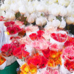 【タイ】バンコクの巨大花市場！「パークローン花市場」の行き方や市場の様子をご紹介！