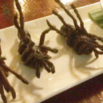 【カンボジア】昆虫食！プノンペンでタランチュラを食べる！NGOが運営するクメール料理レストラン「ロムデン　Romdeng」